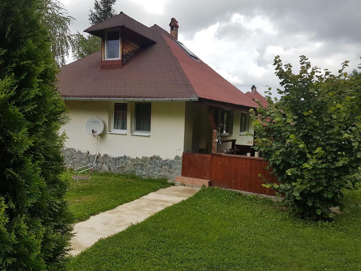 Arpaşu de Sus Casa Adaヴィラ エクステリア 写真