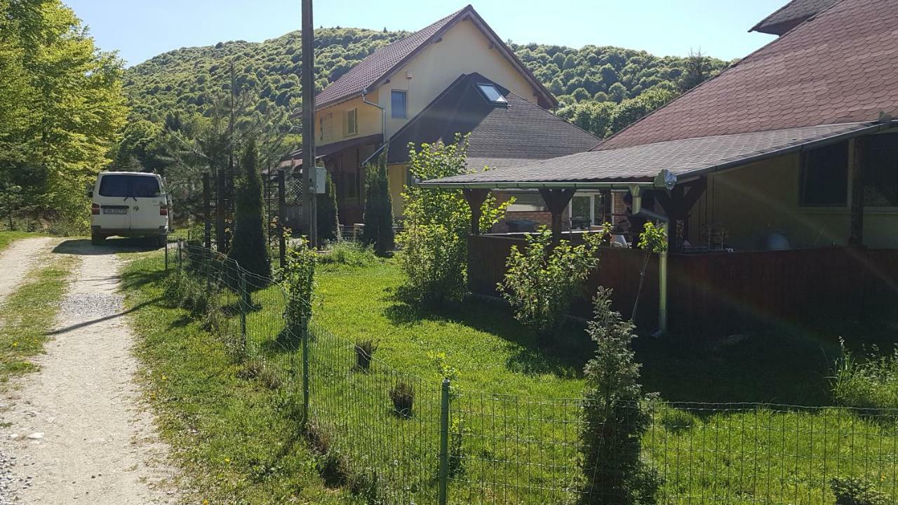 Arpaşu de Sus Casa Adaヴィラ エクステリア 写真