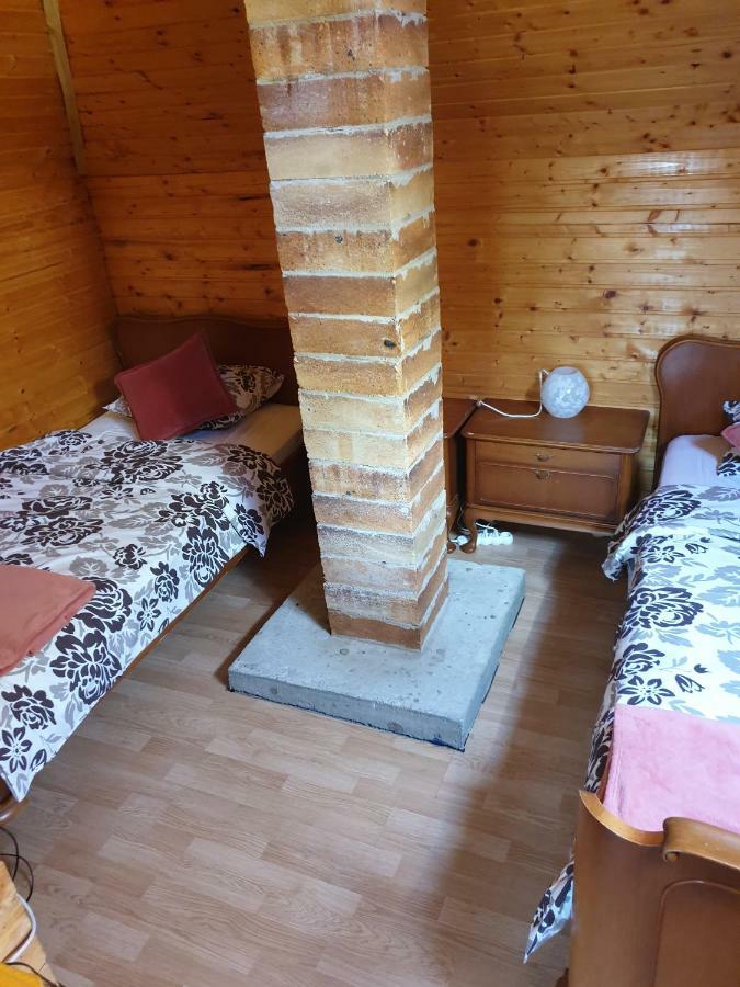 Arpaşu de Sus Casa Adaヴィラ エクステリア 写真